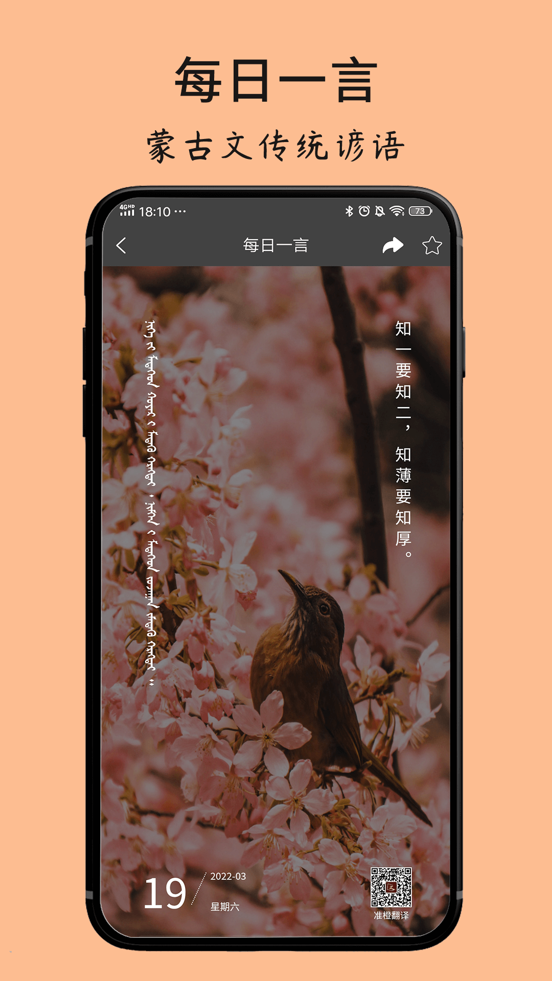 精彩截图-蒙古文翻译词典2025官方新版