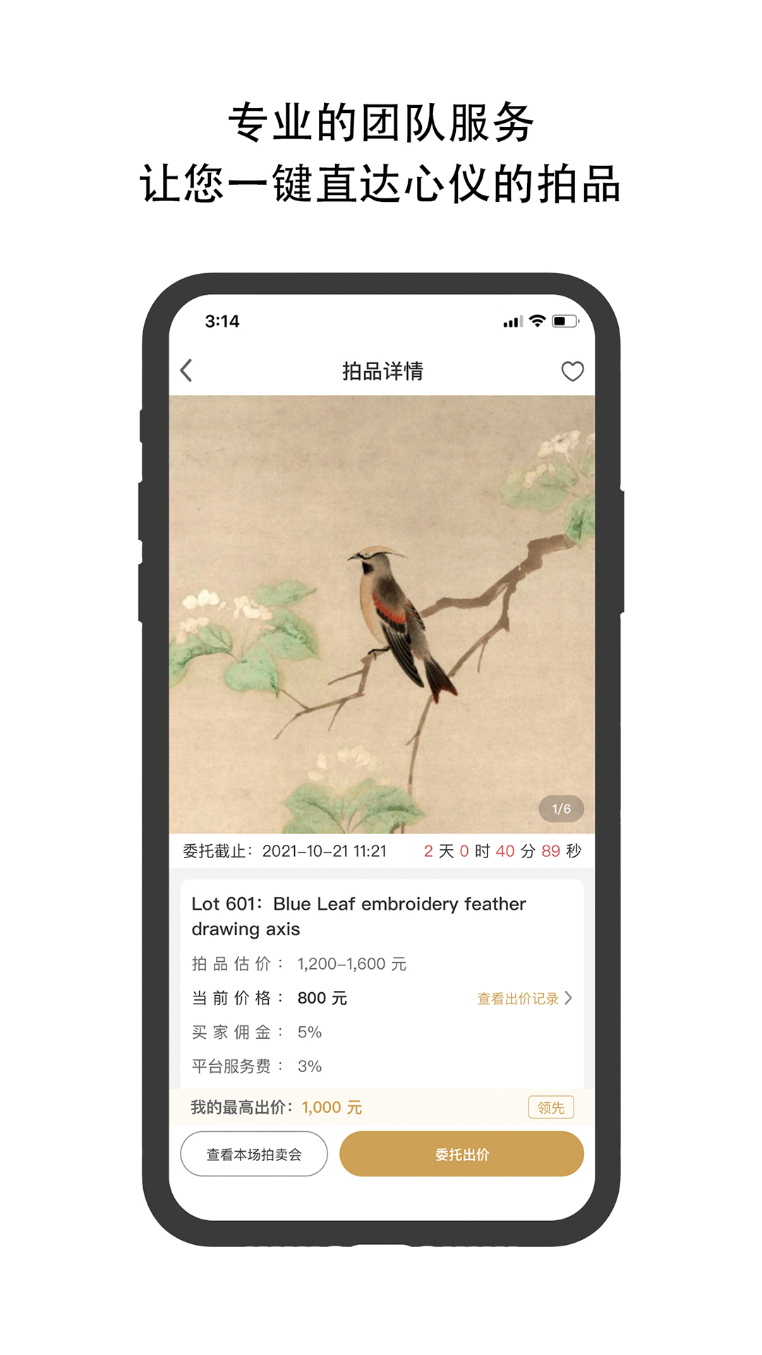 精彩截图-焱十一2025官方新版