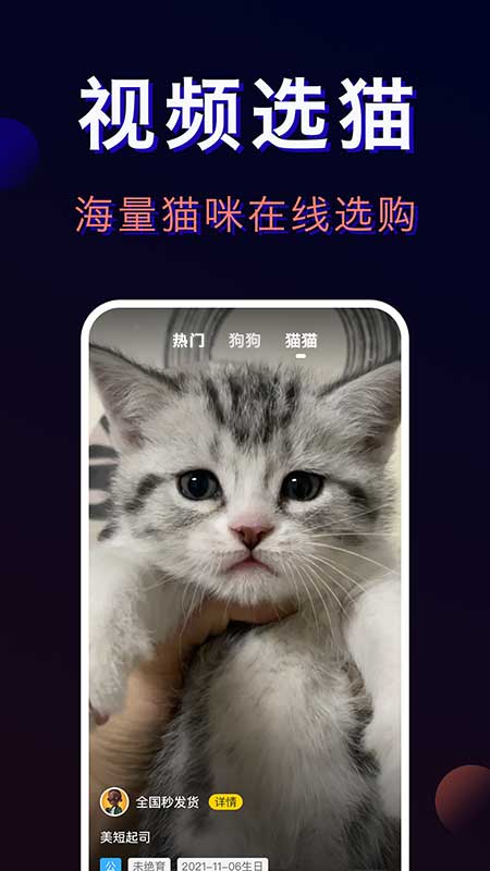 精彩截图-宠物宝2025官方新版