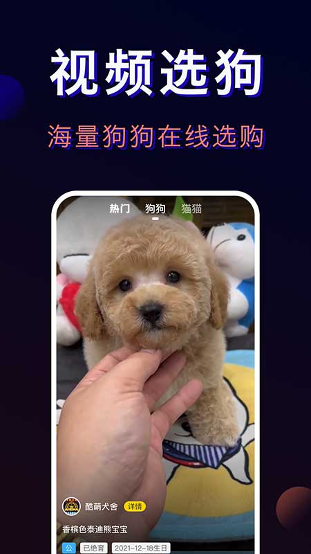 精彩截图-宠物宝2025官方新版