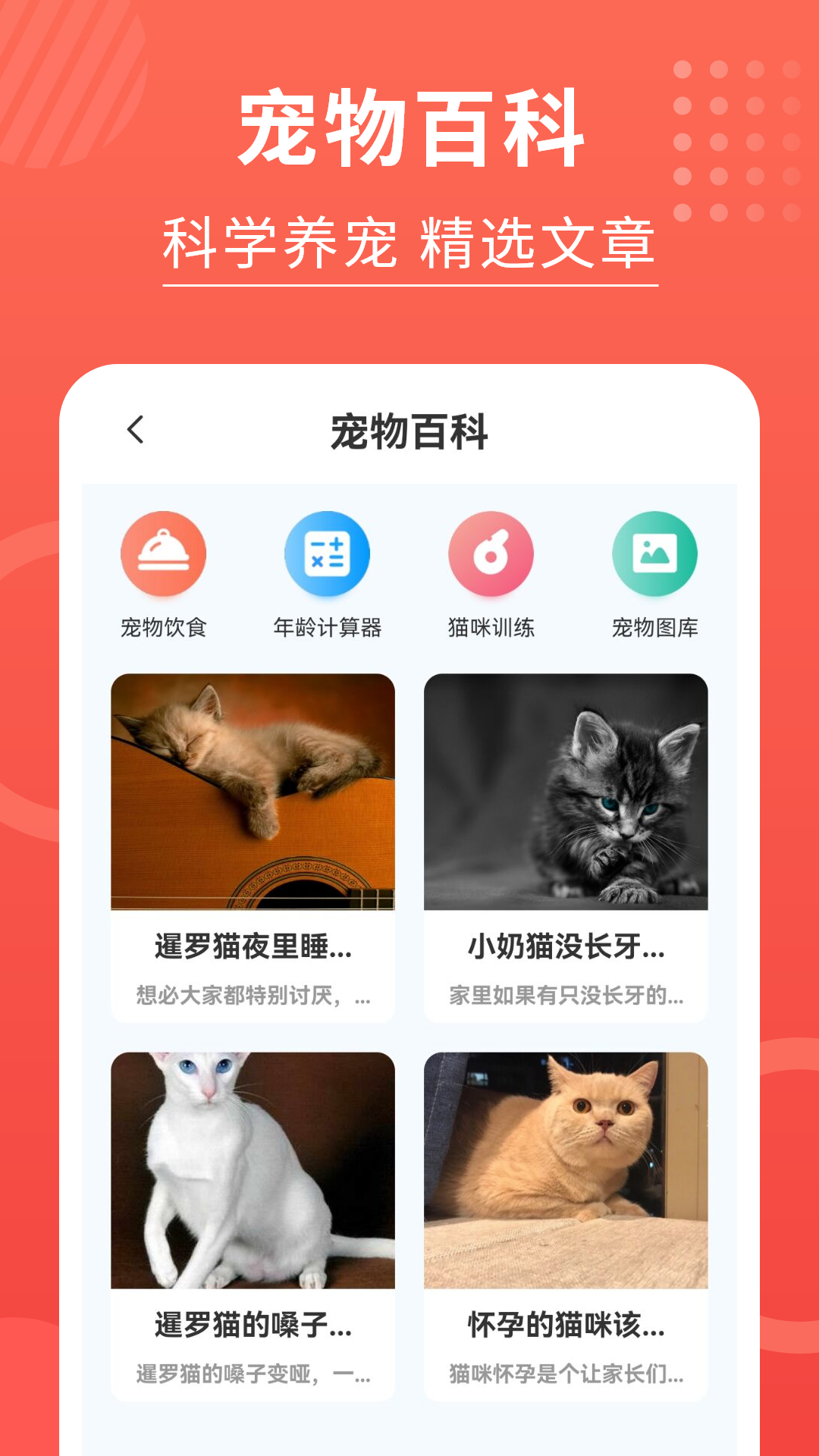 精彩截图-猫猫翻译器2024官方新版