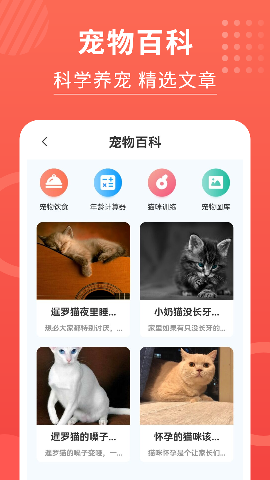 精彩截图-猫猫翻译器2025官方新版
