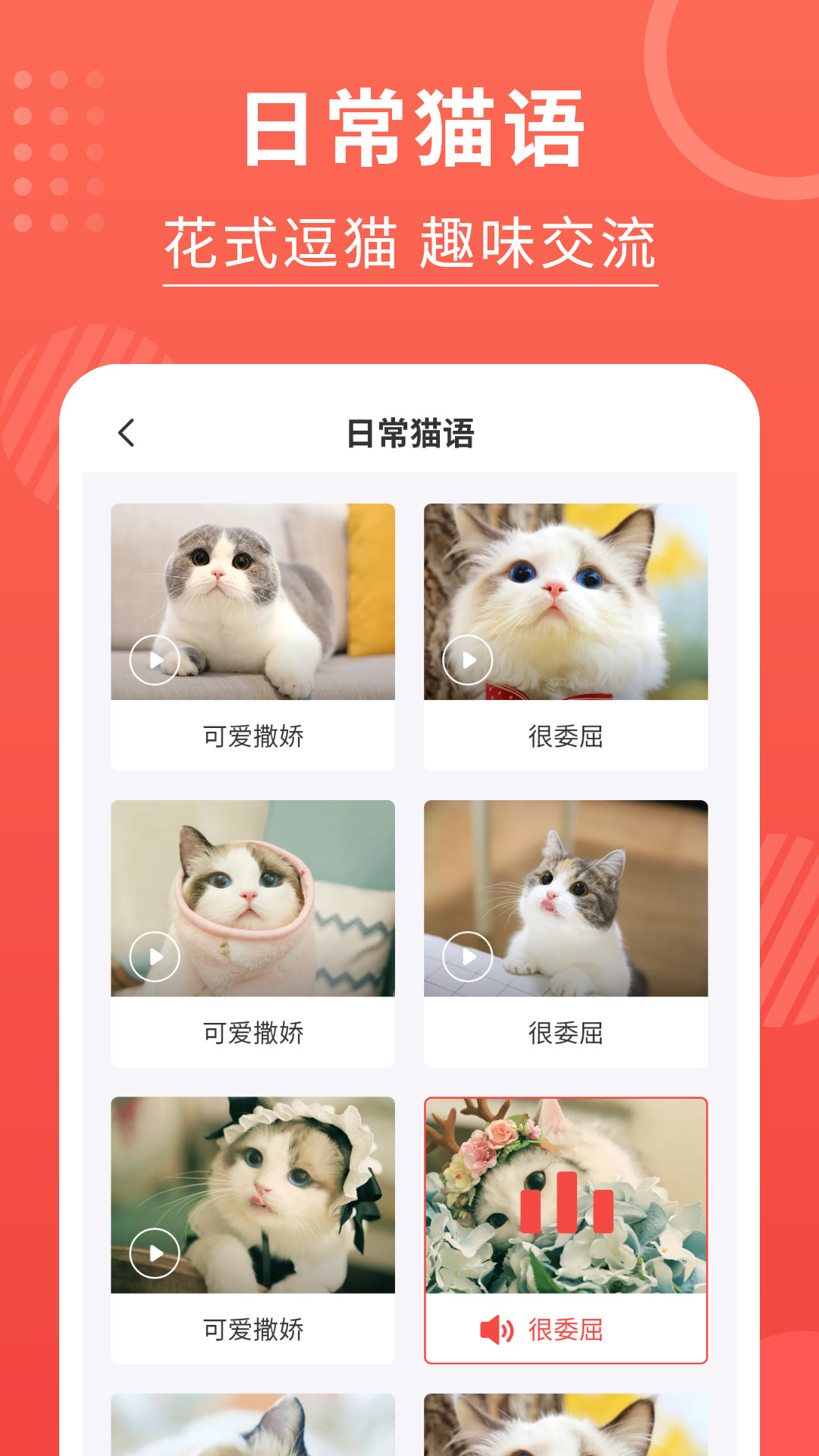 精彩截图-猫猫翻译器2024官方新版