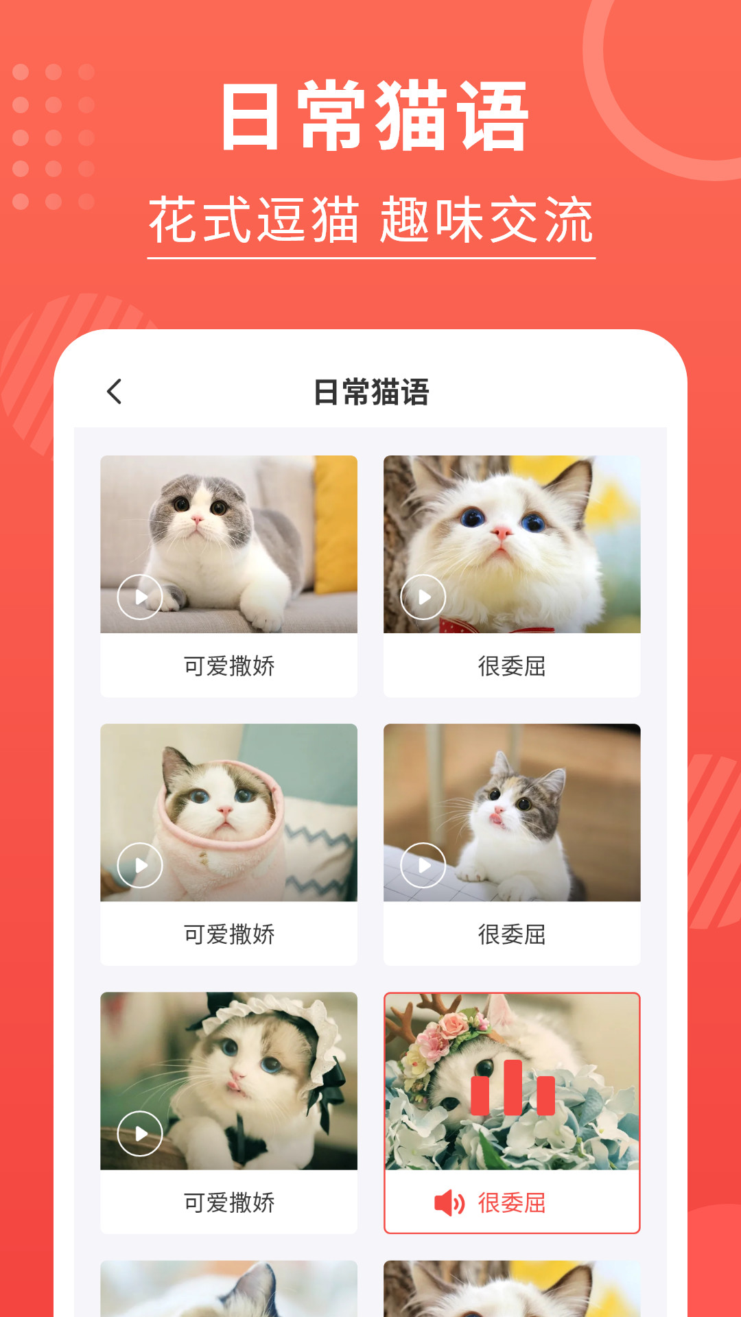 精彩截图-猫猫翻译器2025官方新版