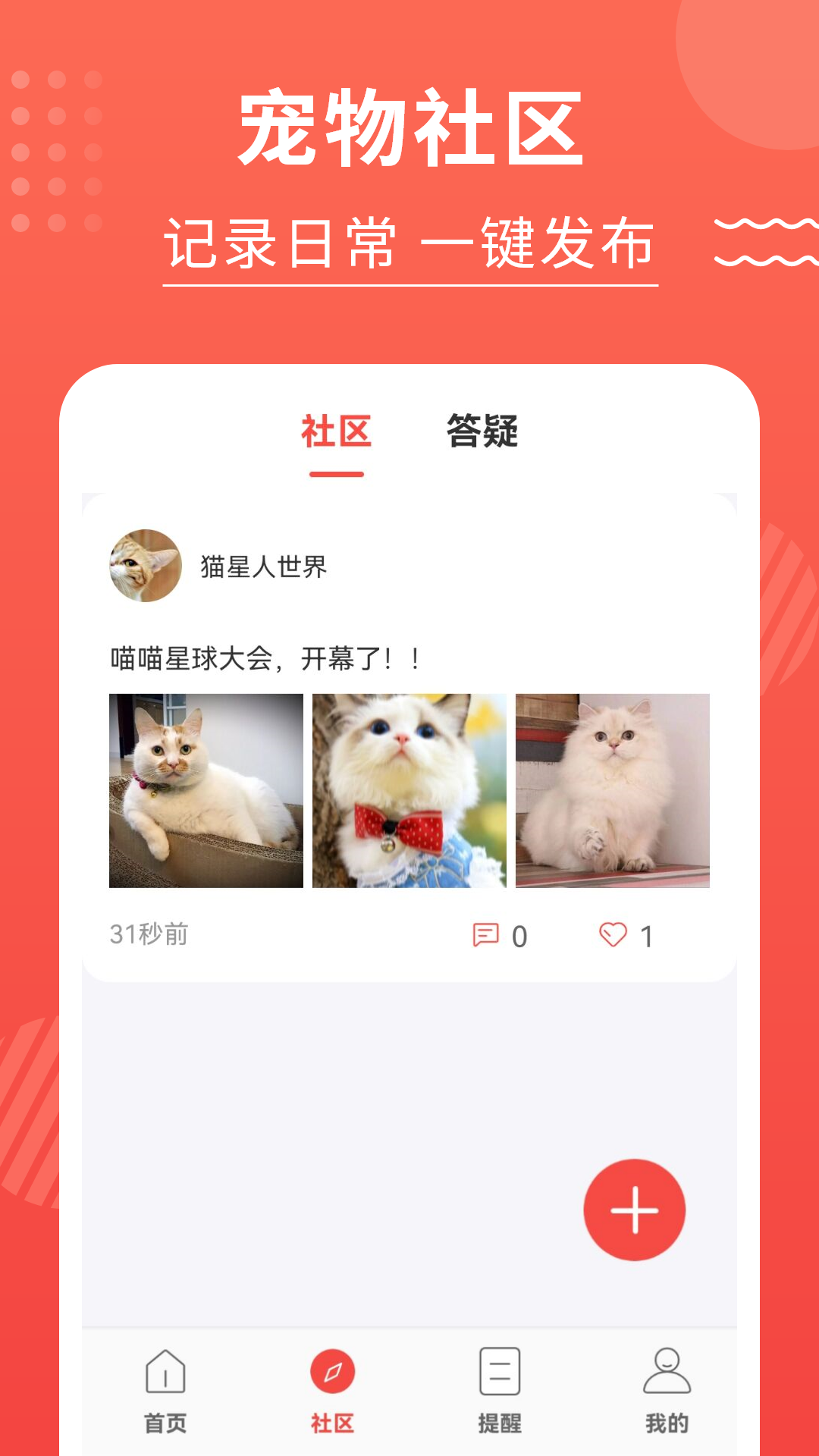 精彩截图-猫猫翻译器2025官方新版
