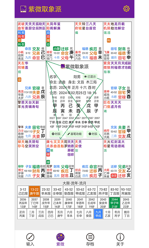 精彩截图-紫微取象派2025官方新版