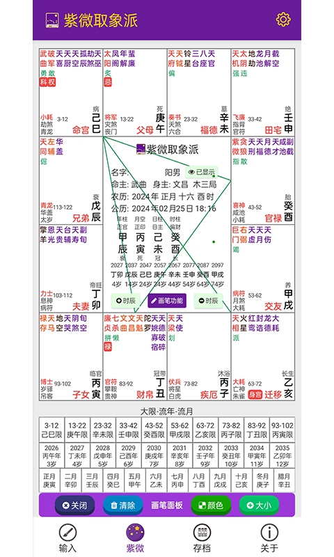 精彩截图-紫微取象派2025官方新版
