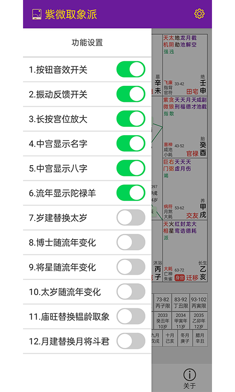 精彩截图-紫微取象派2025官方新版
