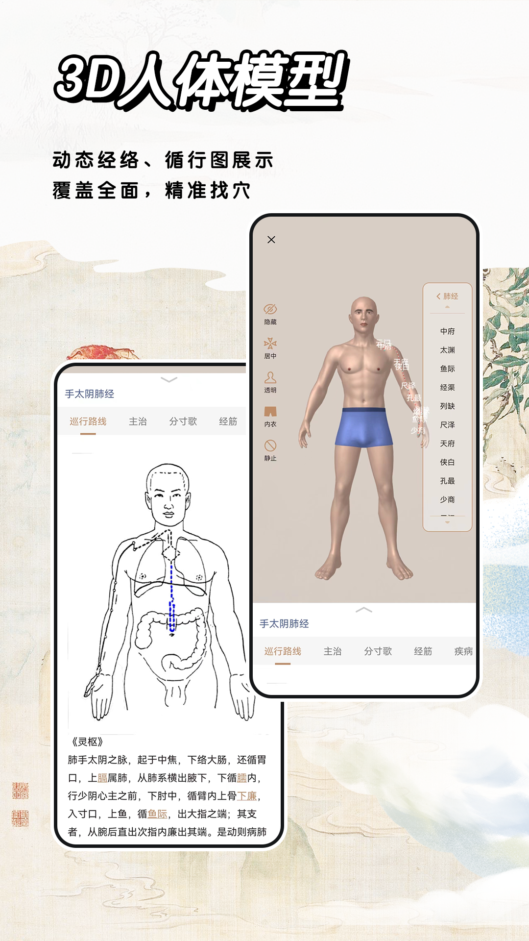 精彩截图-经络穴位标准指南2026官方新版