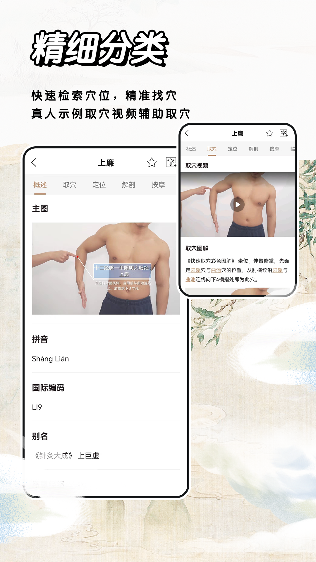 精彩截图-经络穴位标准指南2026官方新版