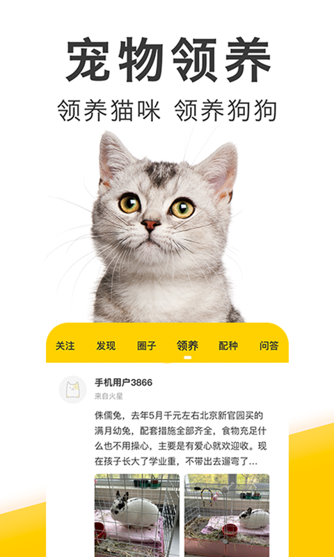 精彩截图-有只宠物2026官方新版