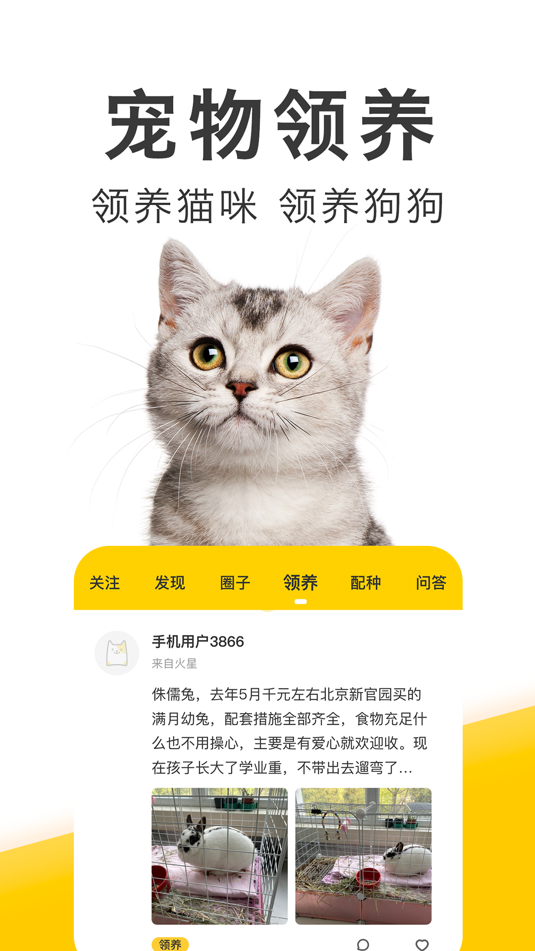 精彩截图-有只宠物2026官方新版