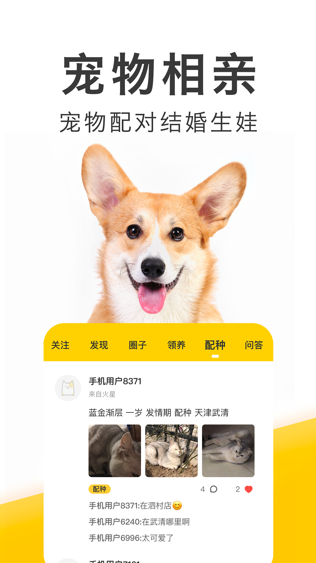 精彩截图-有只宠物2026官方新版
