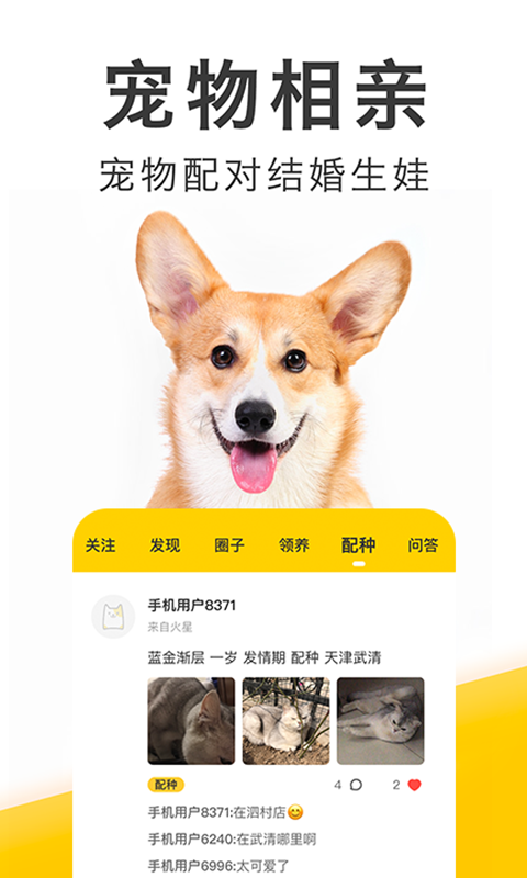 精彩截图-有只宠物2026官方新版