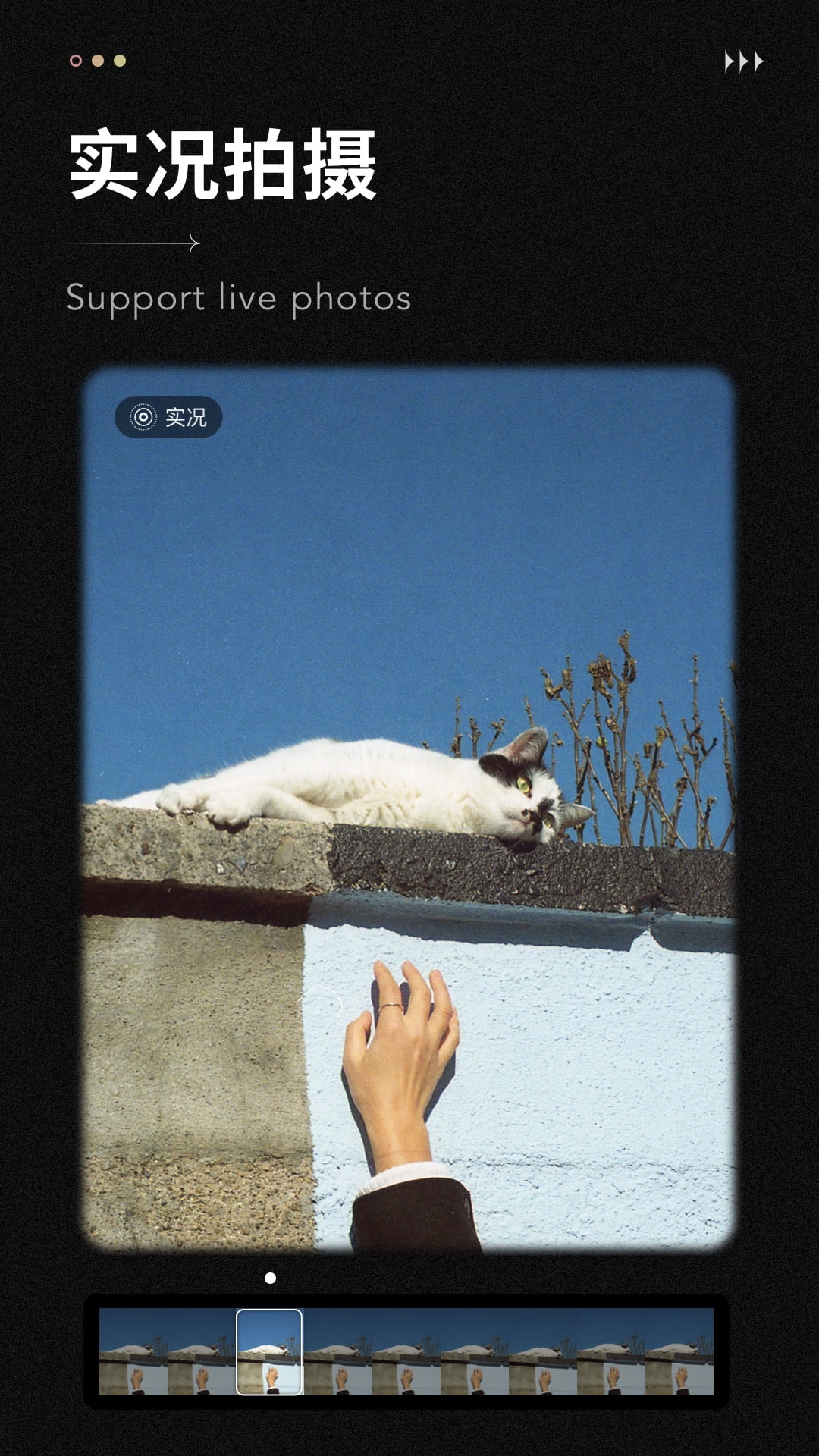 精彩截图-Fomz2026官方新版