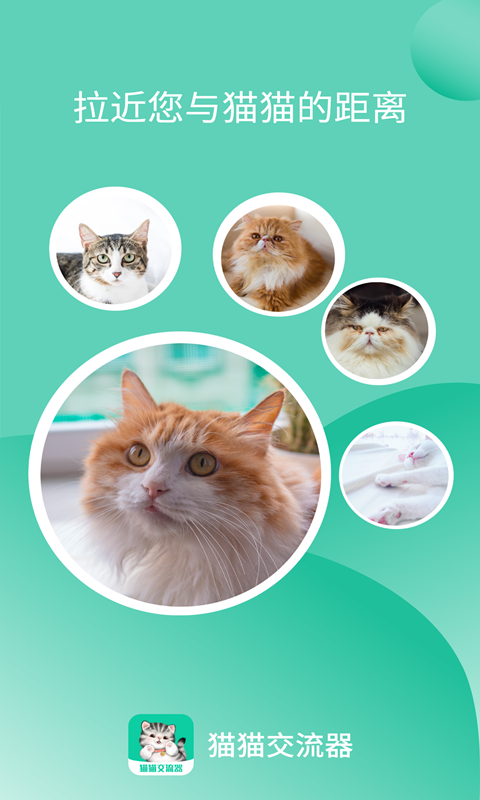 精彩截图-猫猫交流器2025官方新版