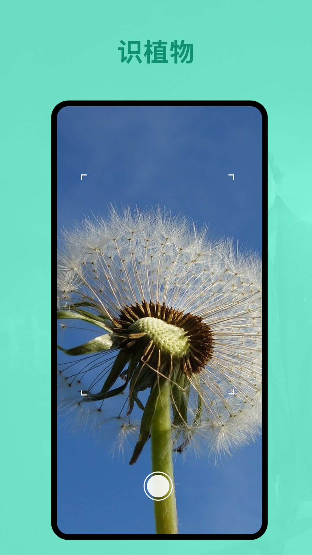 精彩截图-识植物2025官方新版