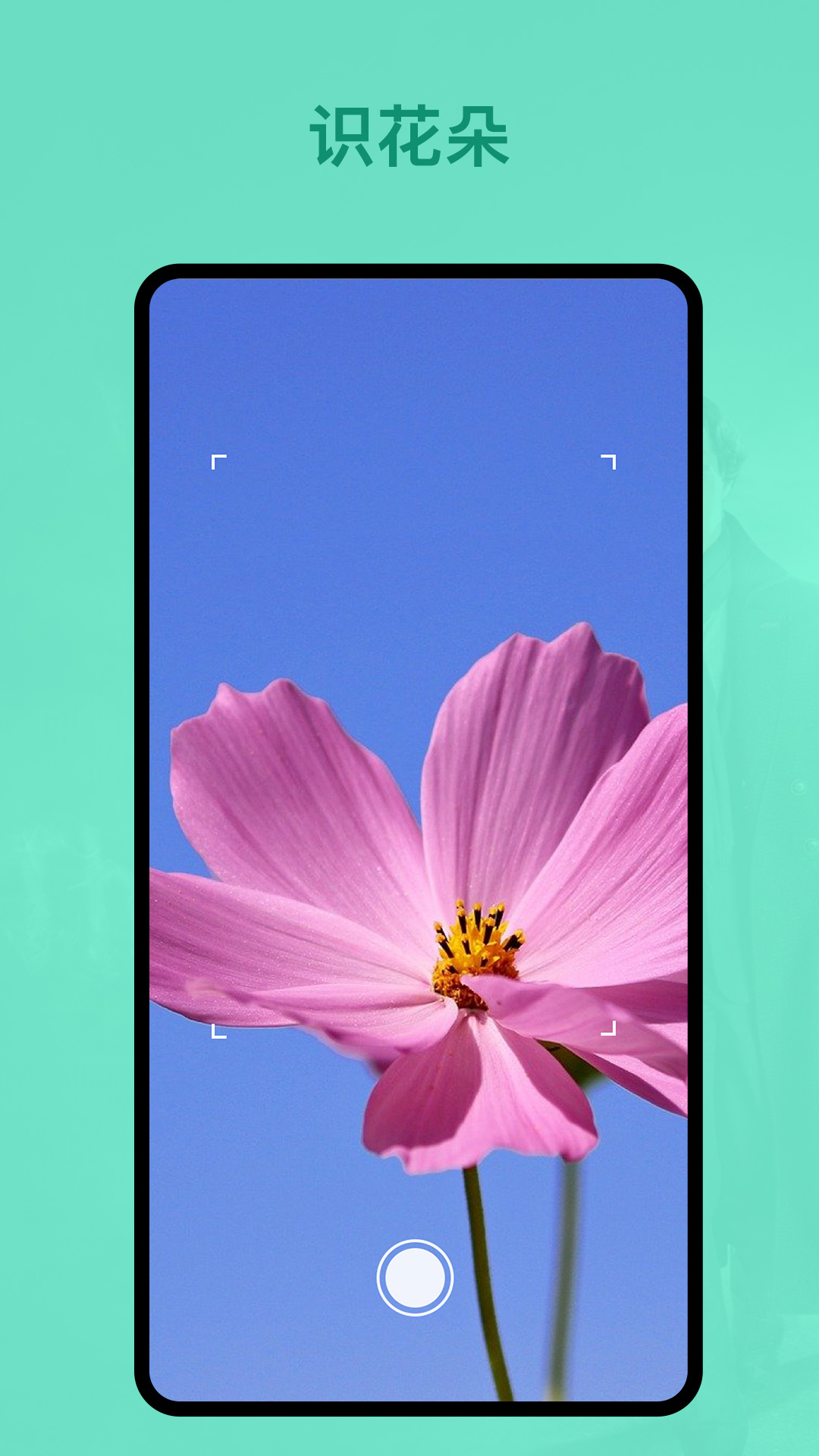 精彩截图-识植物2025官方新版