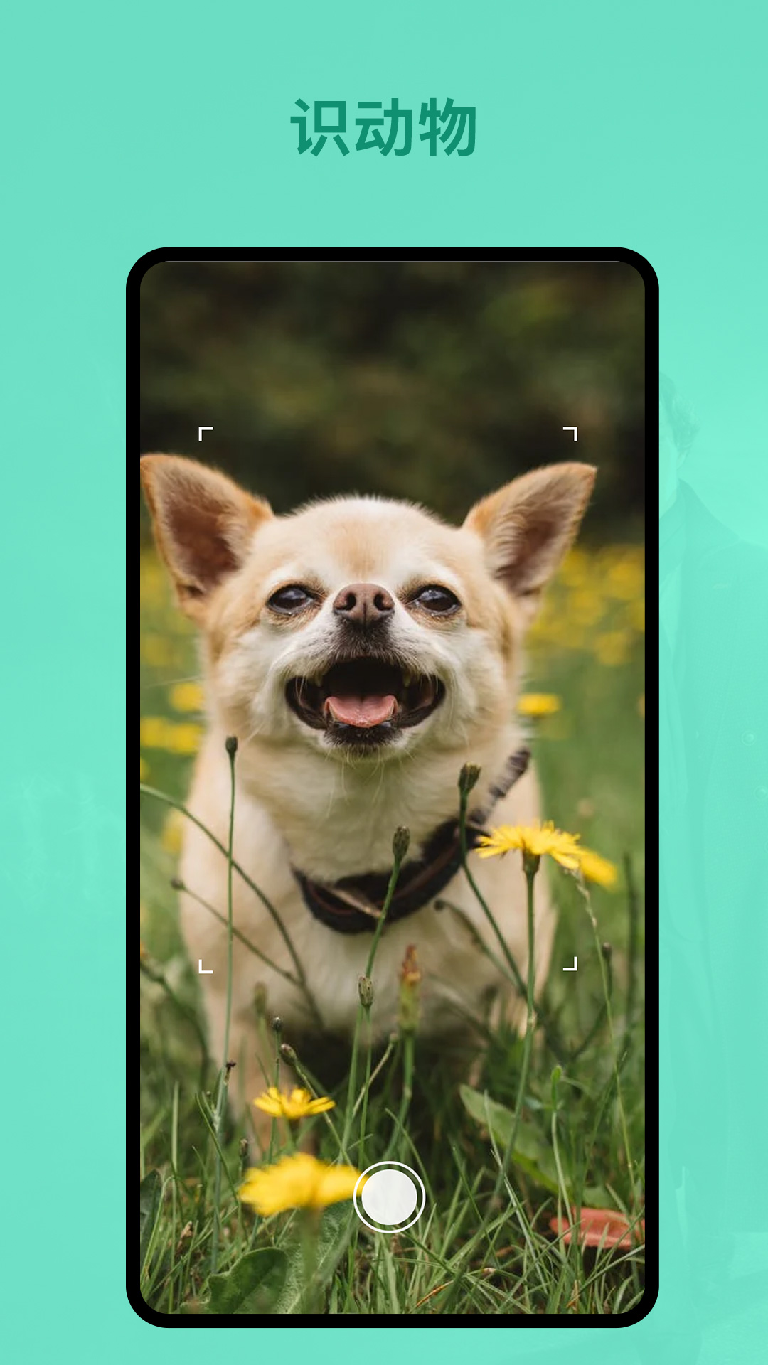 精彩截图-识植物2025官方新版