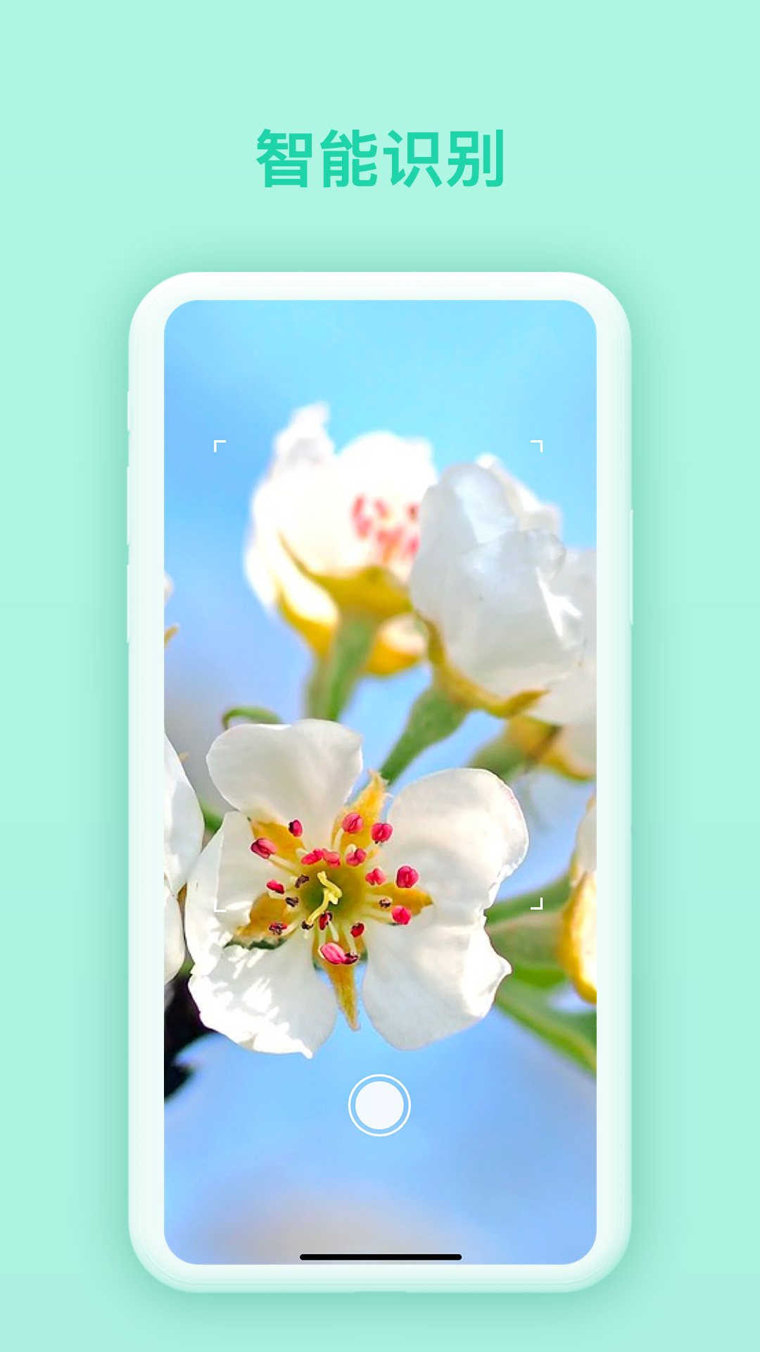 精彩截图-万物识别2026官方新版