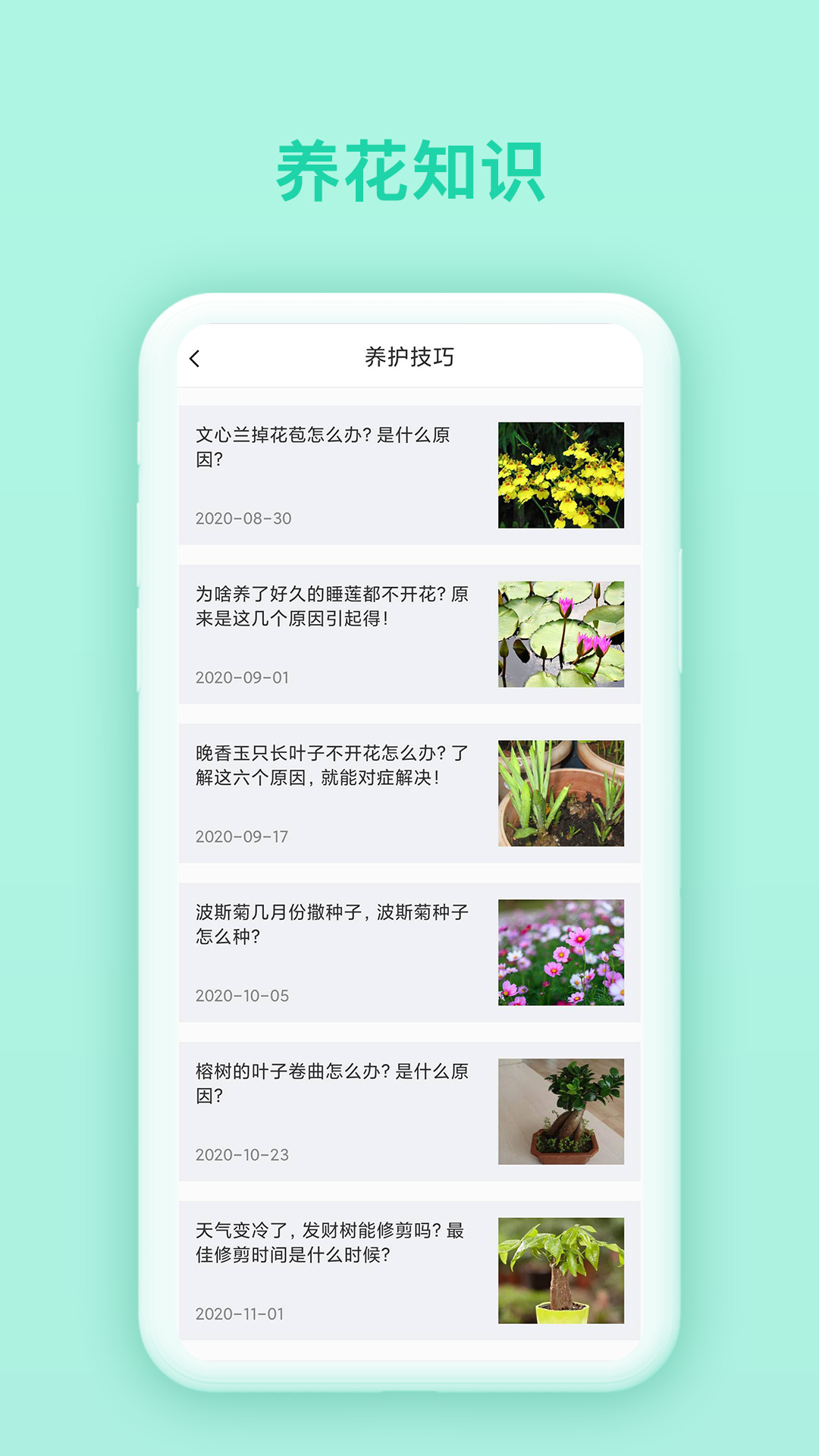精彩截图-万物识别2026官方新版