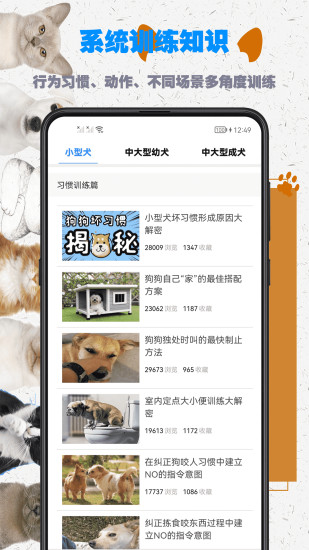 精彩截图-训狗教程2024官方新版