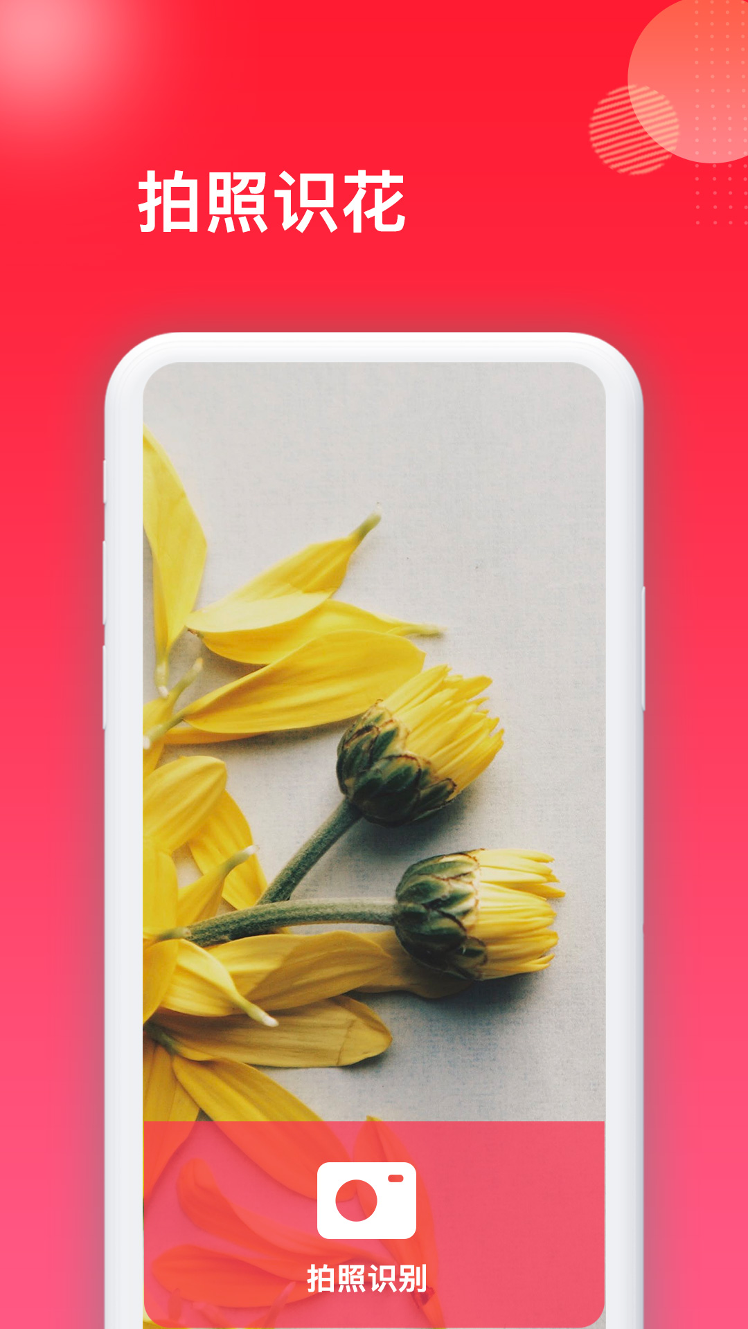 花百科 截图 1