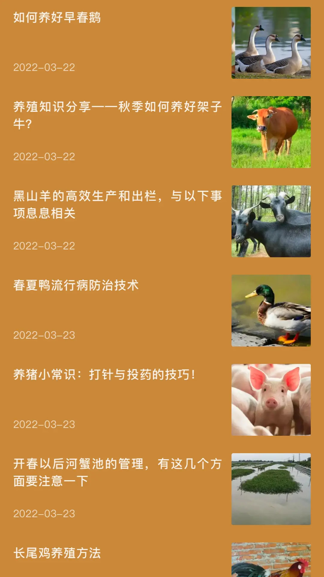 精彩截图-田园小院子2026官方新版