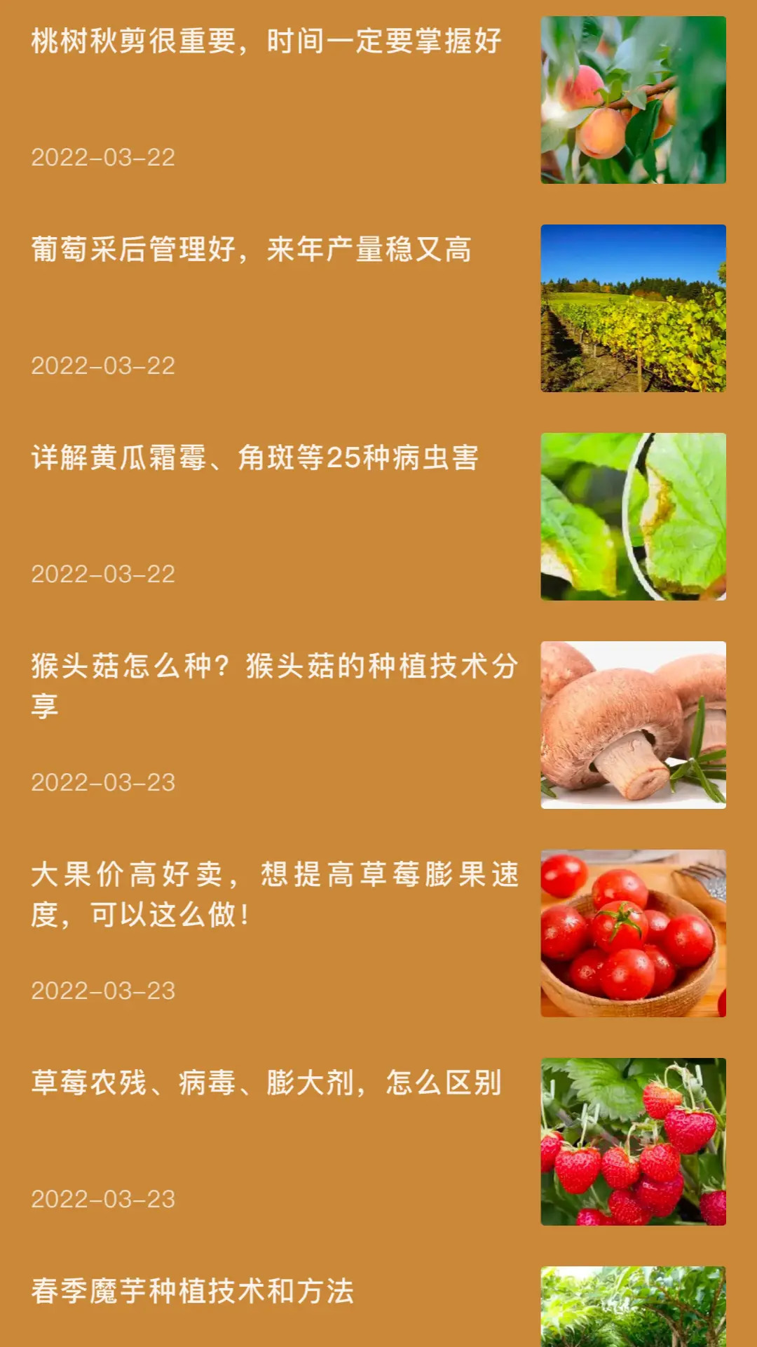 精彩截图-田园小院子2026官方新版