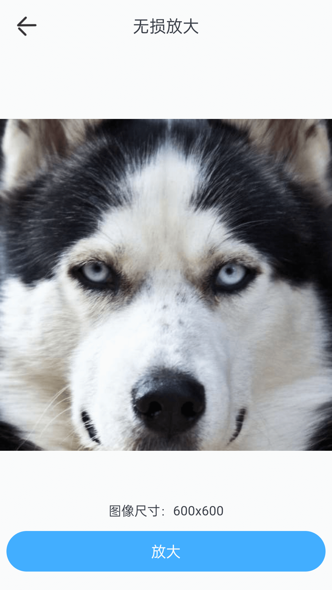 精彩截图-百变特效相机2026官方新版