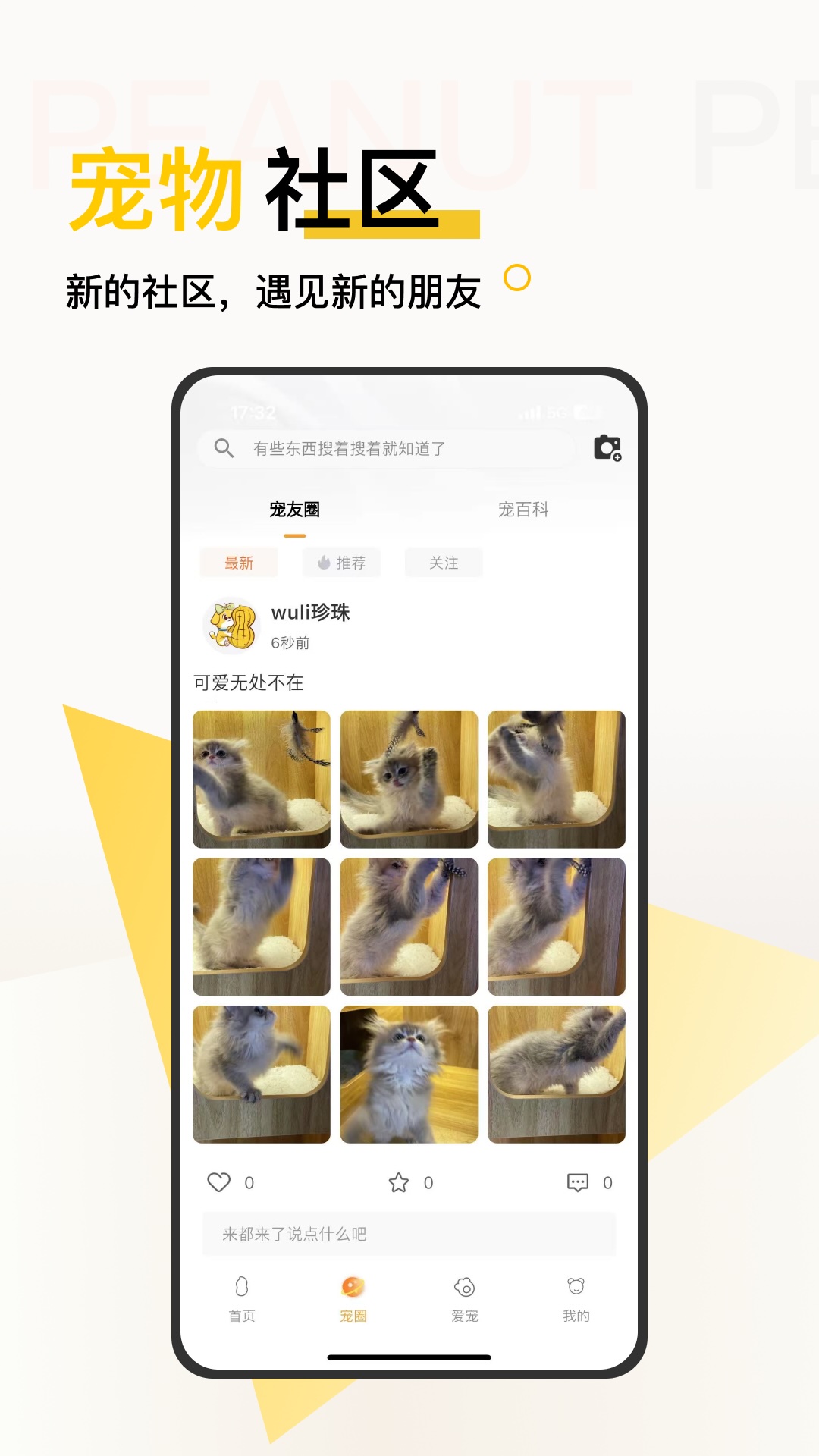 精彩截图-花生宠物2025官方新版