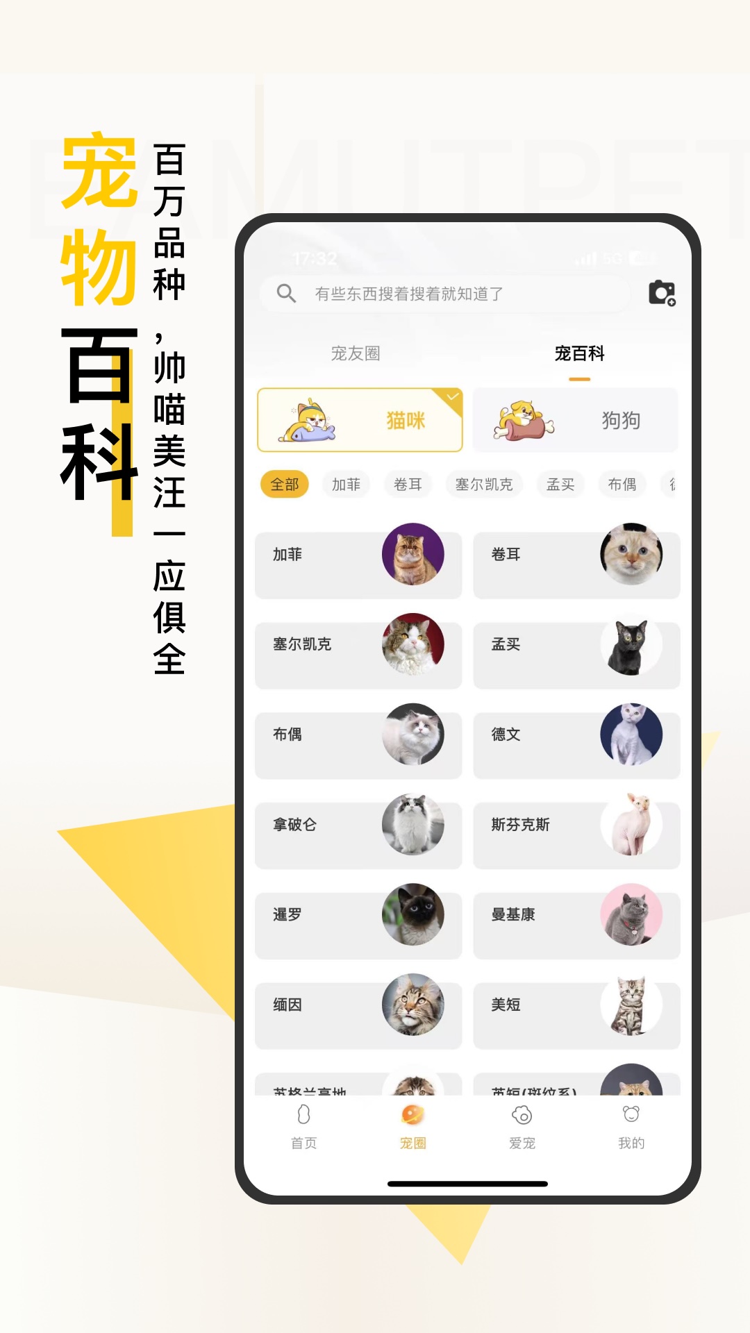 精彩截图-花生宠物2025官方新版