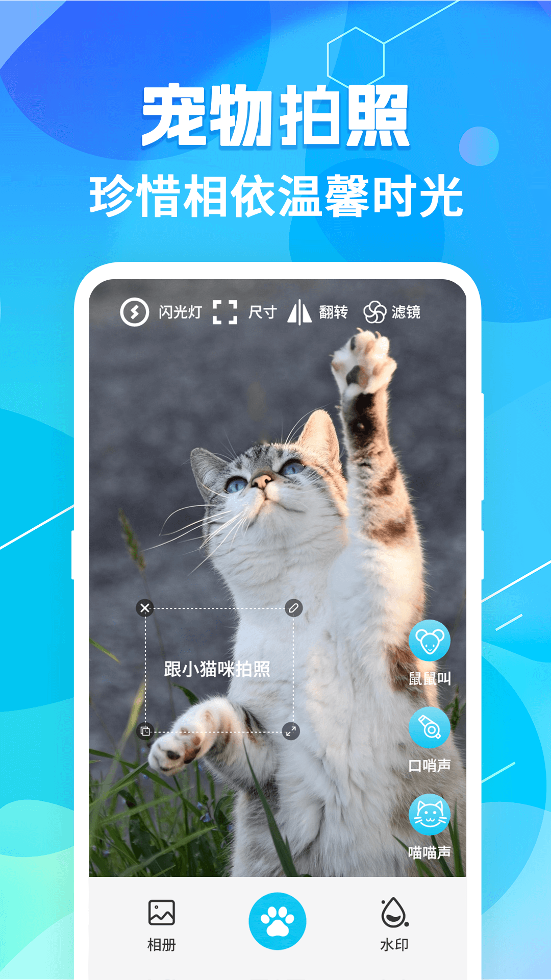 精彩截图-猫语翻译pet2025官方新版