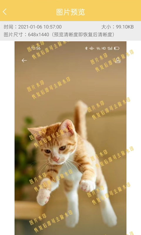 精彩截图-数据恢复工具2025官方新版