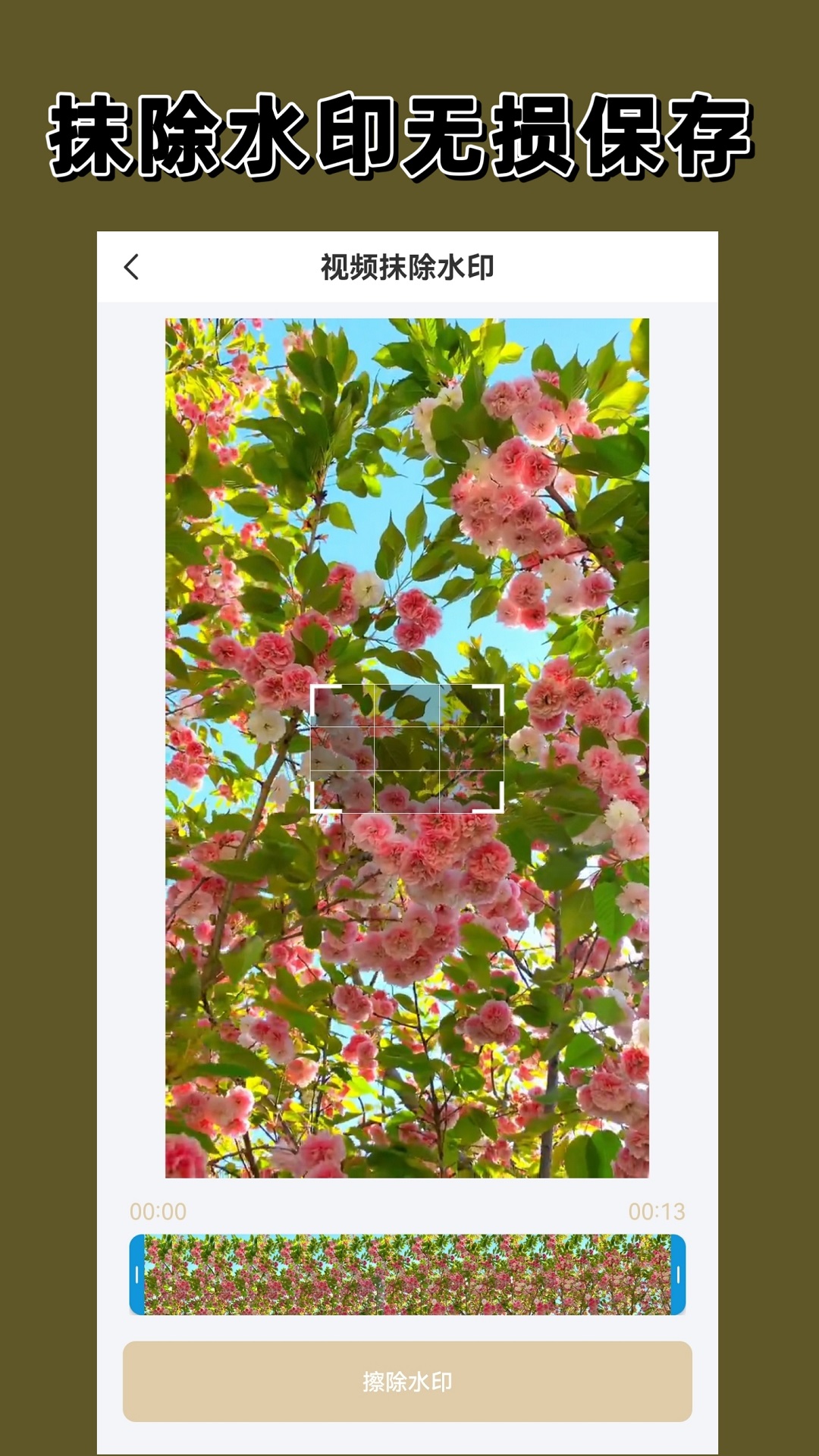 精彩截图-去水印大师2026官方新版