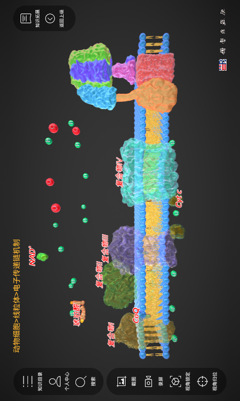 精彩截图-细胞生物学3D资源库系统2025官方新版