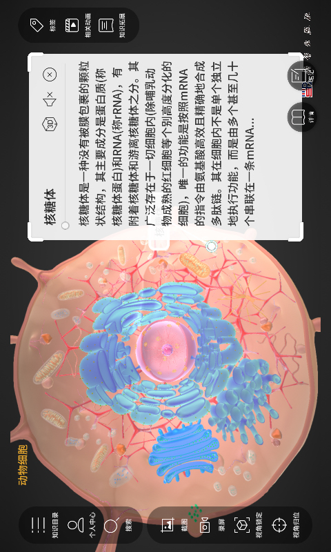 精彩截图-细胞生物学3D资源库系统2026官方新版