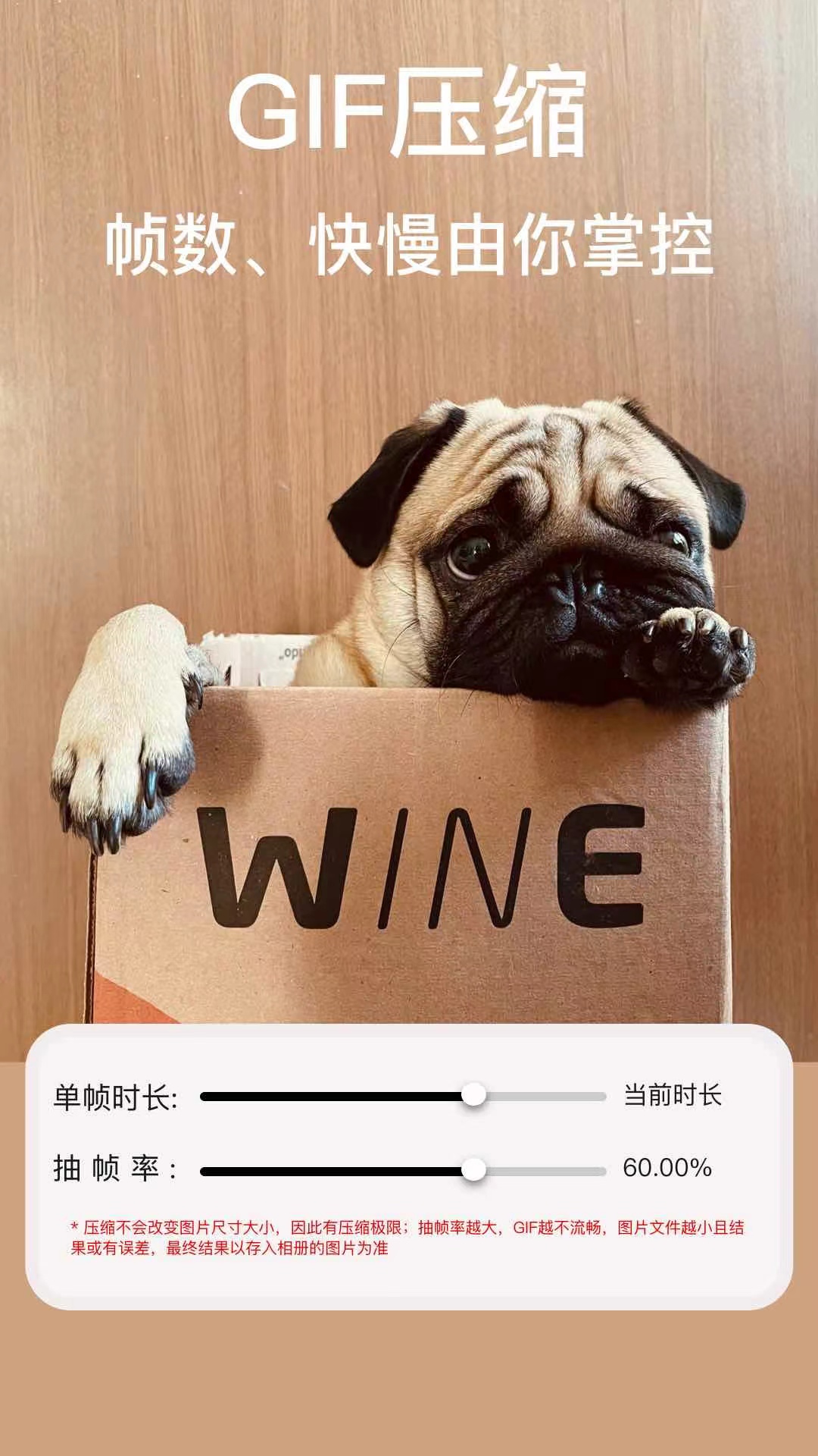 精彩截图-ImgMeta图片压缩专家2025官方新版