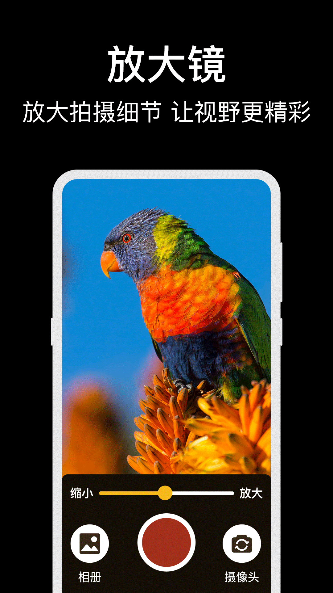 精彩截图-放大镜Glass老人桌面2026官方新版