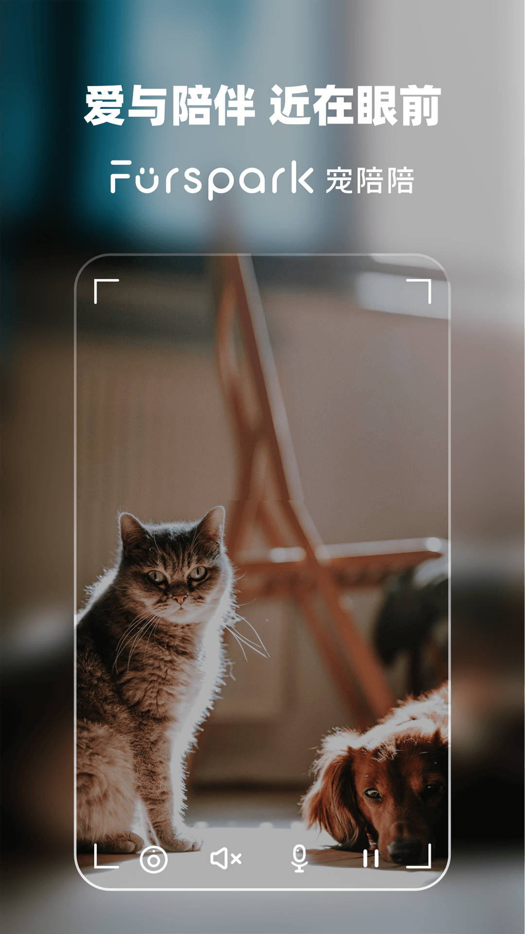 精彩截图-宠陪陪2026官方新版