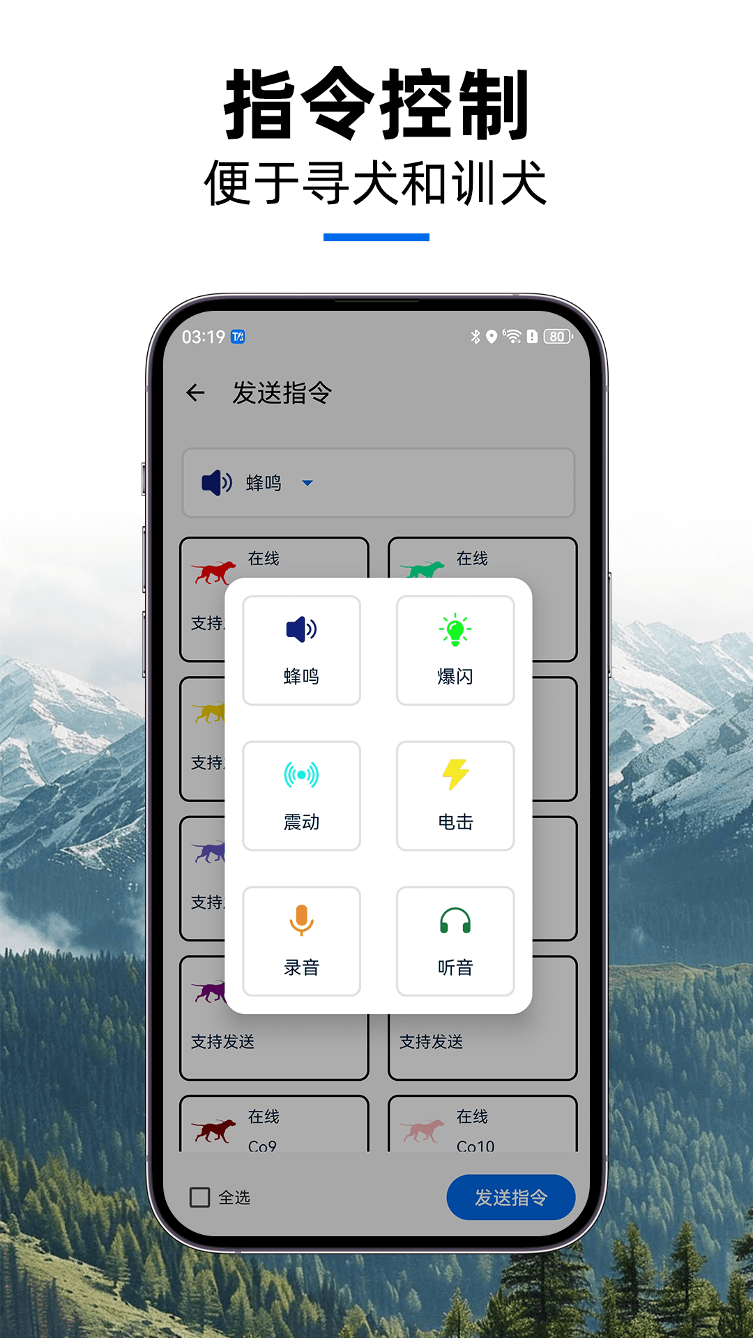 精彩截图-TR-dog2026官方新版