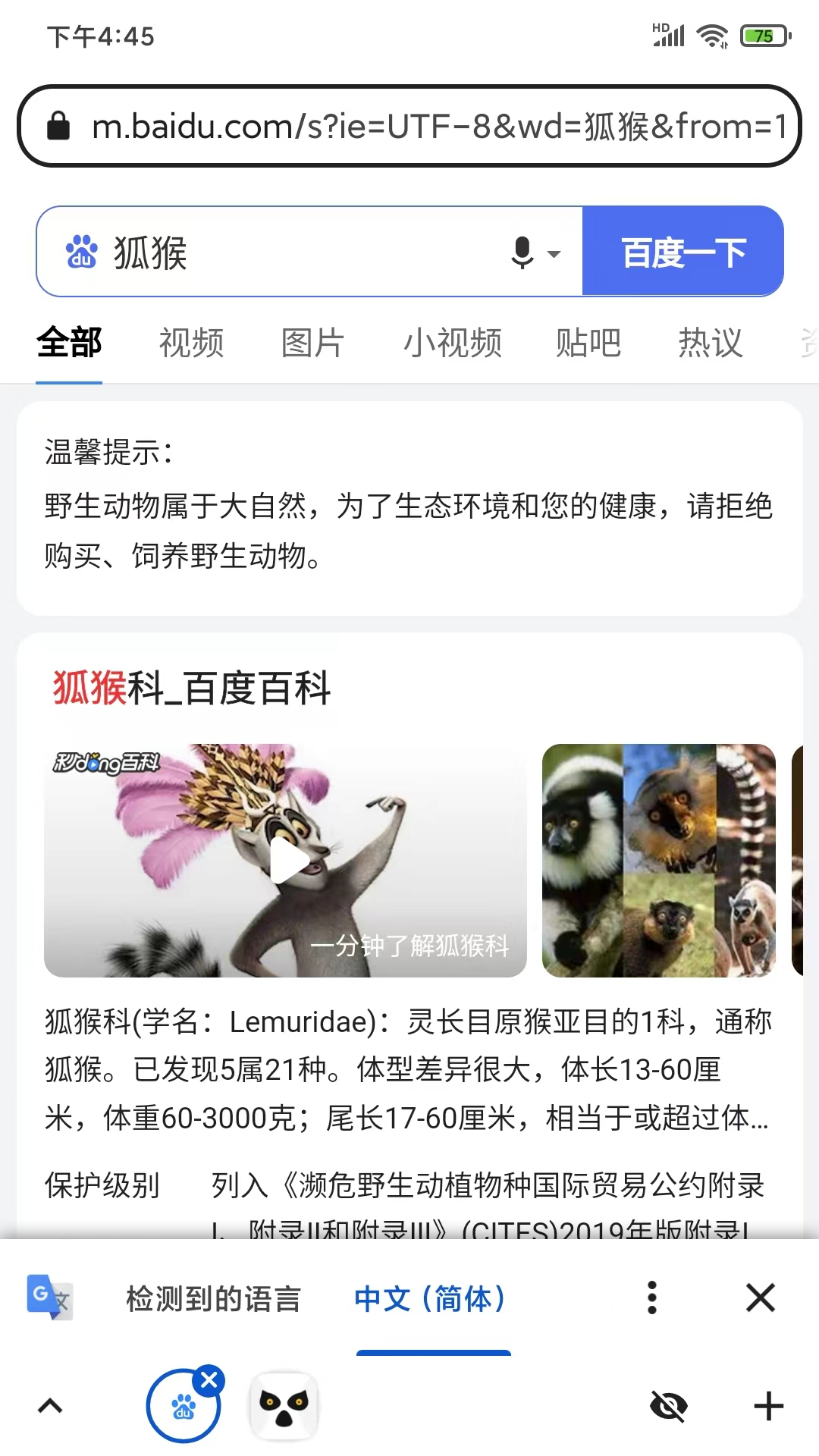 精彩截图-狐猴浏览器2026官方新版