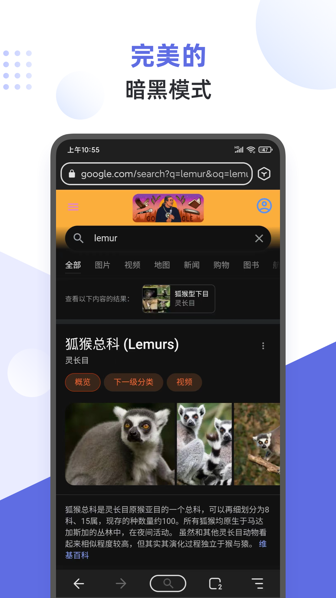 精彩截图-狐猴浏览器2024官方新版