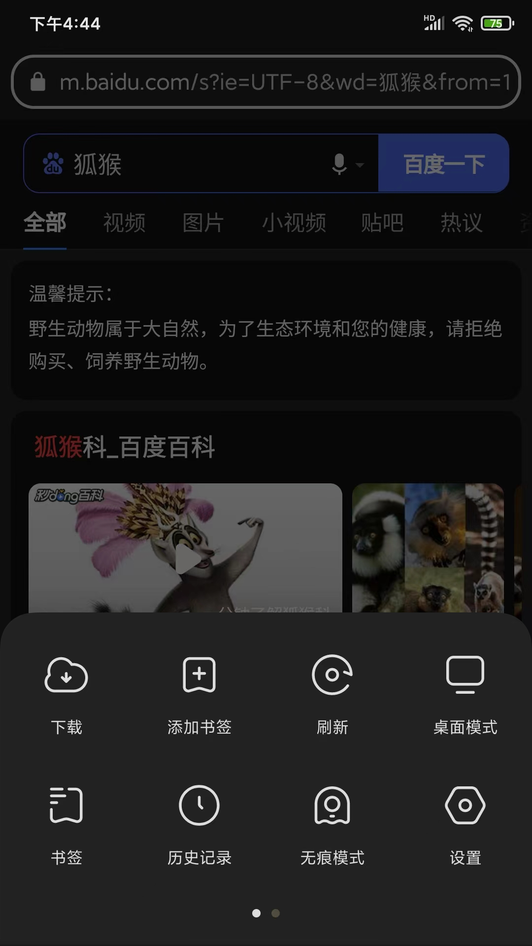 精彩截图-狐猴浏览器2026官方新版
