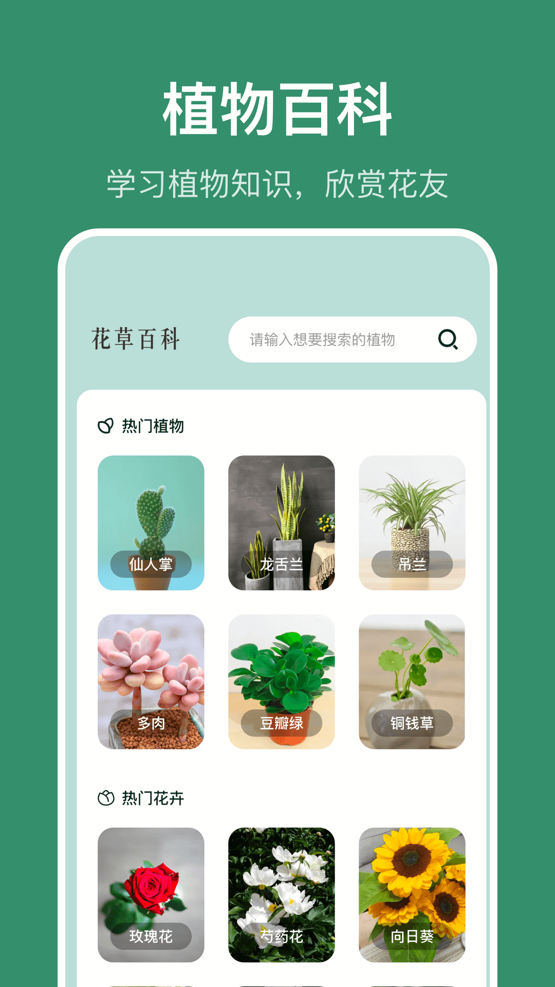 精彩截图-识花草2025官方新版