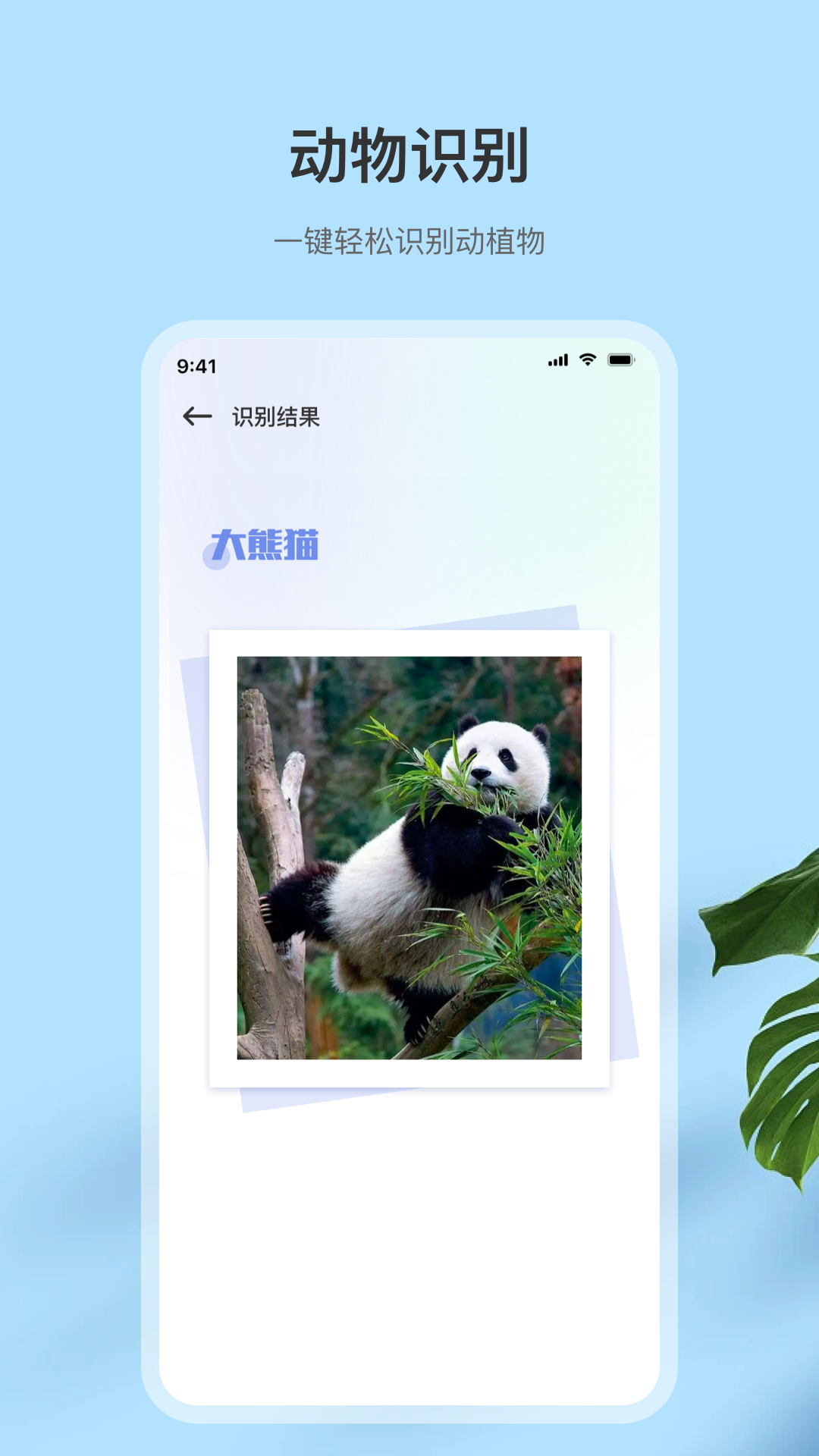 精彩截图-扫描全2026官方新版