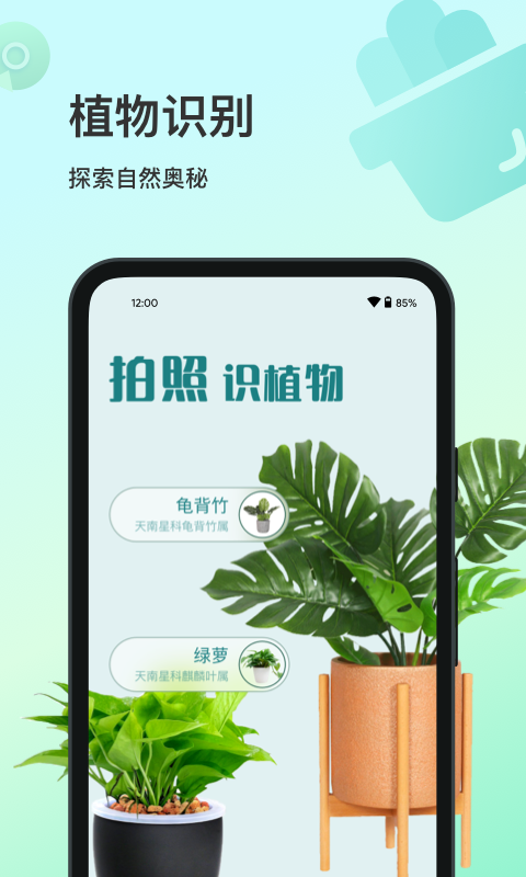 精彩截图-花卉识别2025官方新版