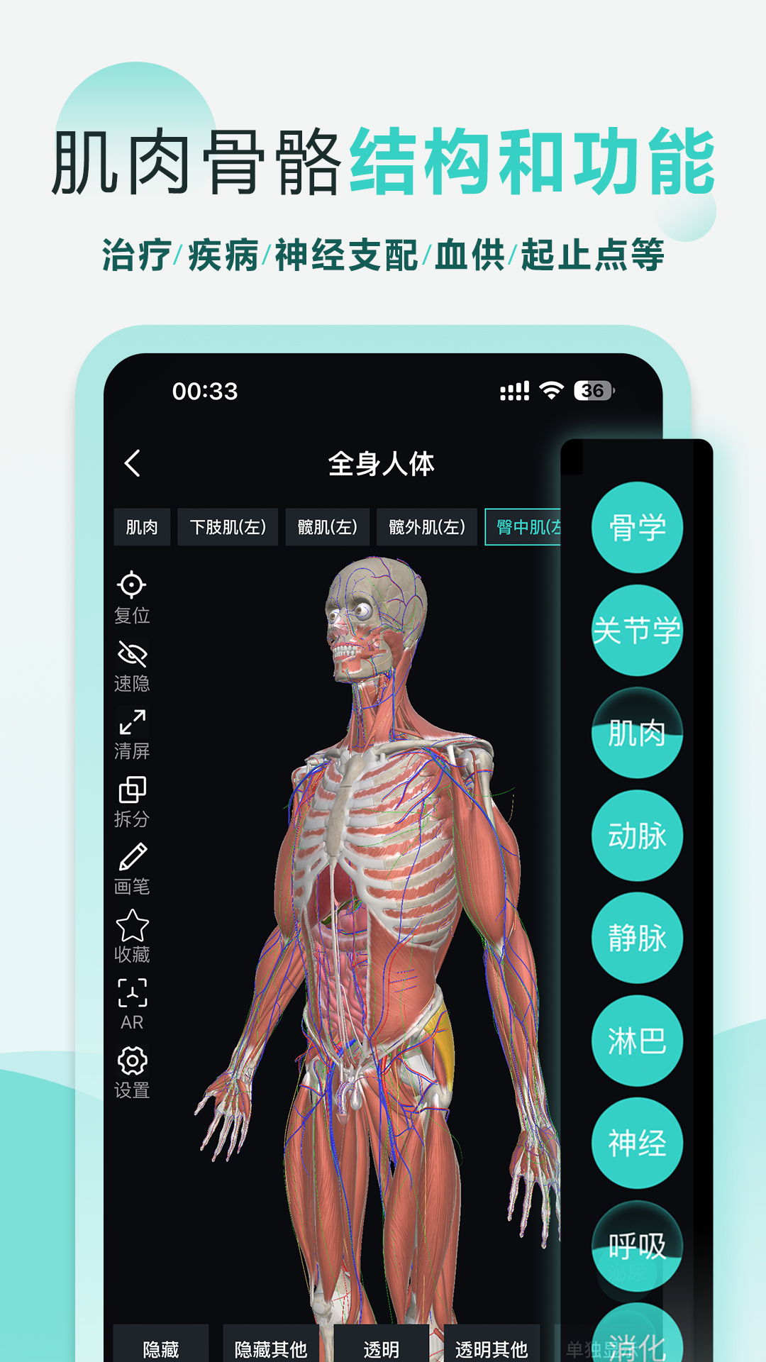 掌上3D解剖app-官方正版软件2025最新版本免费下载-应用宝官网
