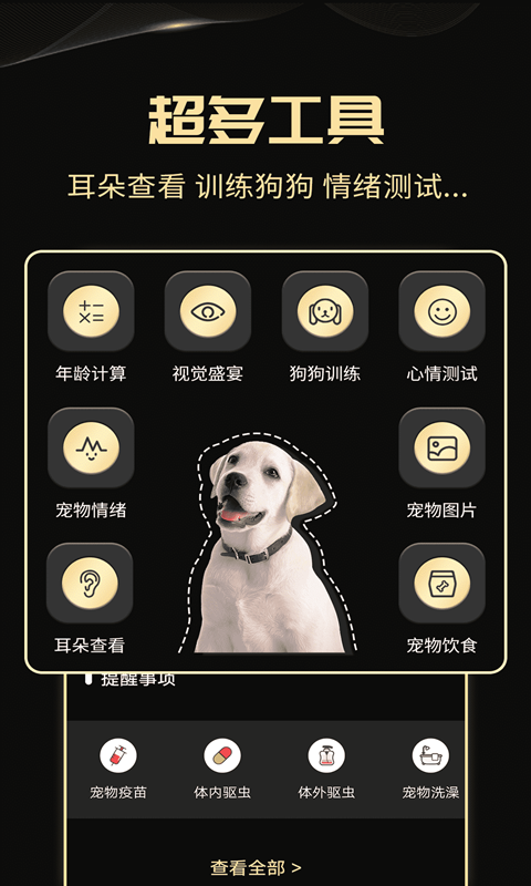  "狗狗情感解析器：解锁您的爱犬内心世界"