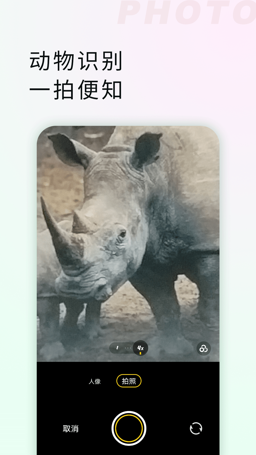 精彩截图-拍照识物全能王2026官方新版